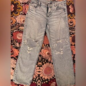 American Eagle Outfitters Light Blue Ankle Straight Distressed Jeans